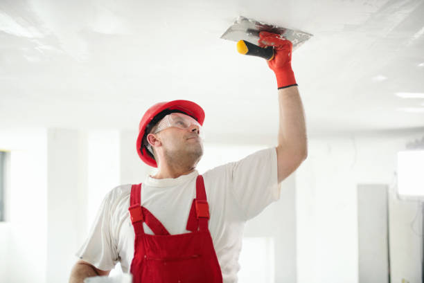 Best Wallpaper Removal and Painting  in West Park, CA